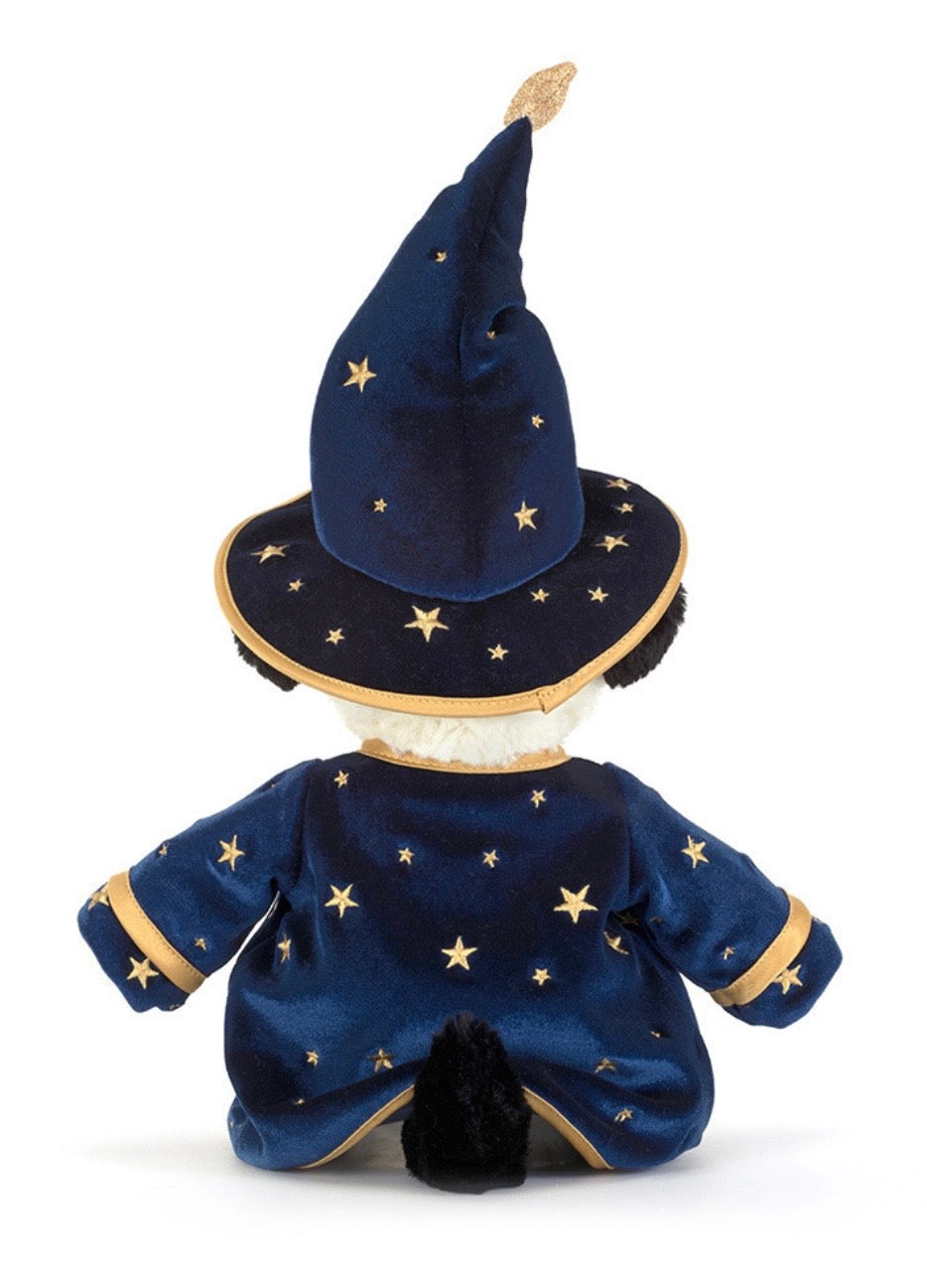 Rufferty Puppy Wizard Outfit