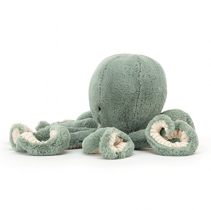 Odyssey Octopus Little