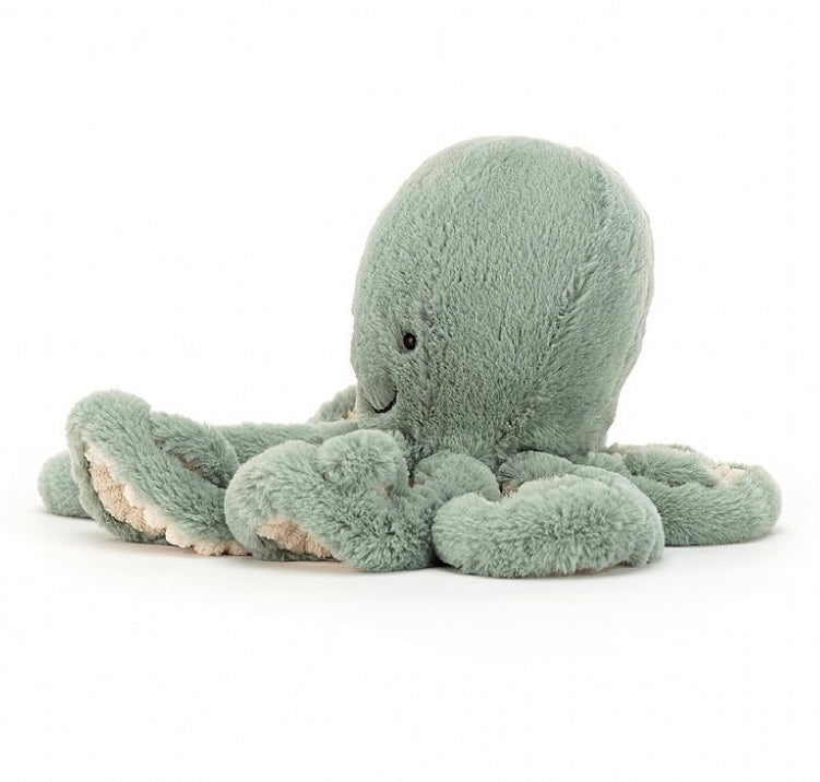 Odyssey Octopus Little