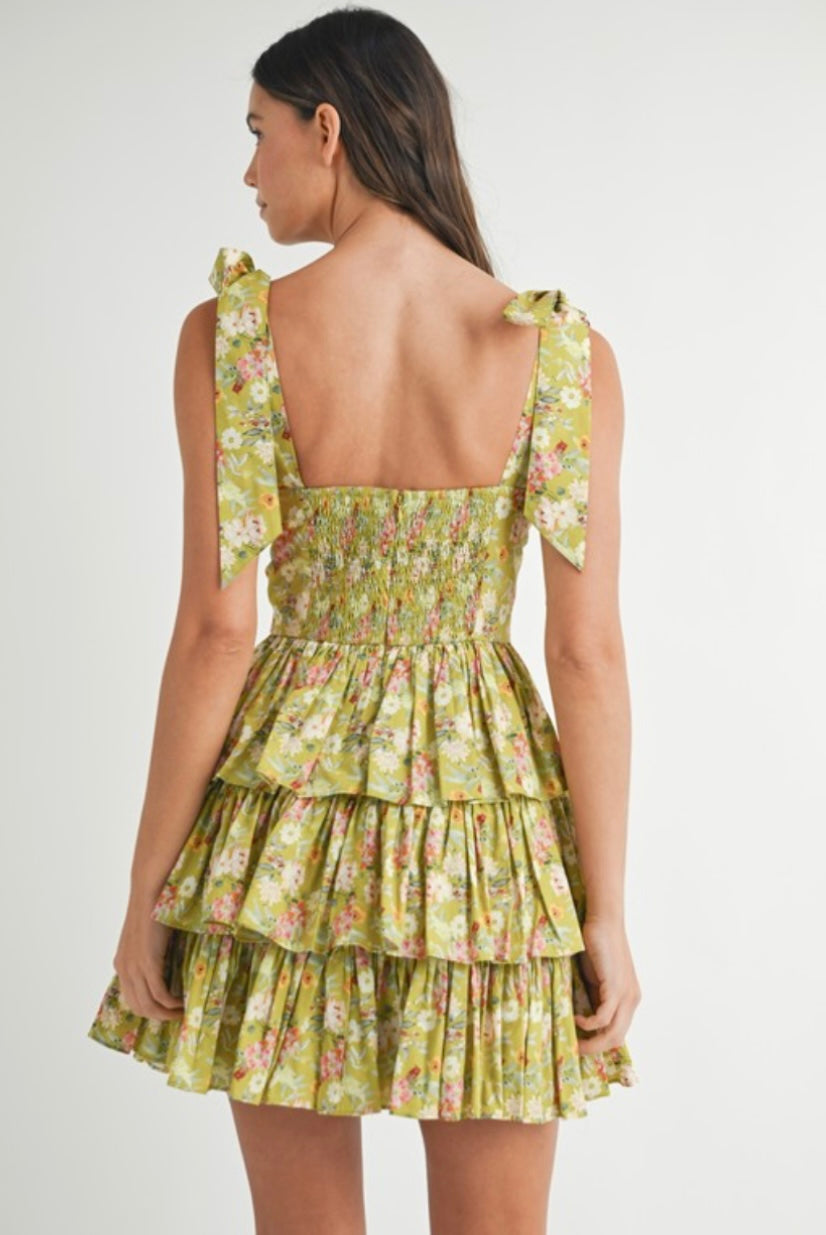 Kiwi Floral Corset Mini Dress