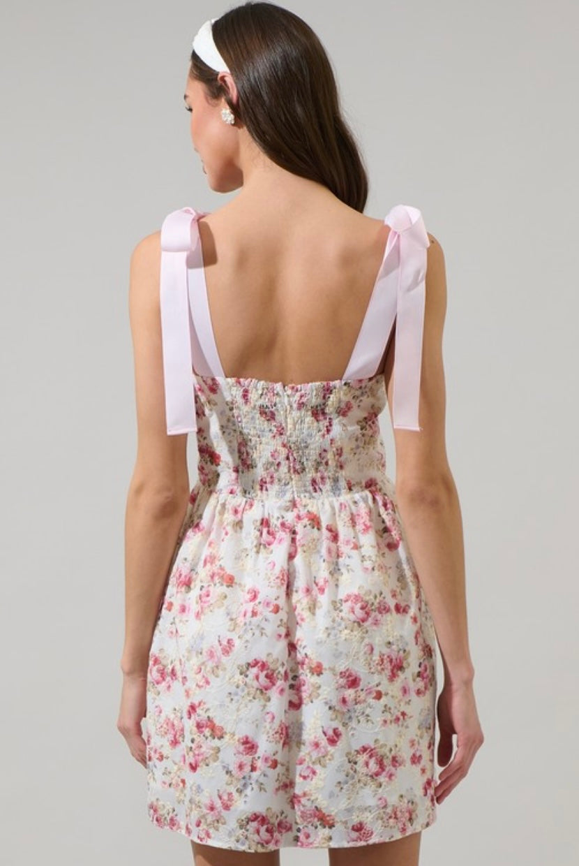 Hanna Eyelet Nidia Mini Dress