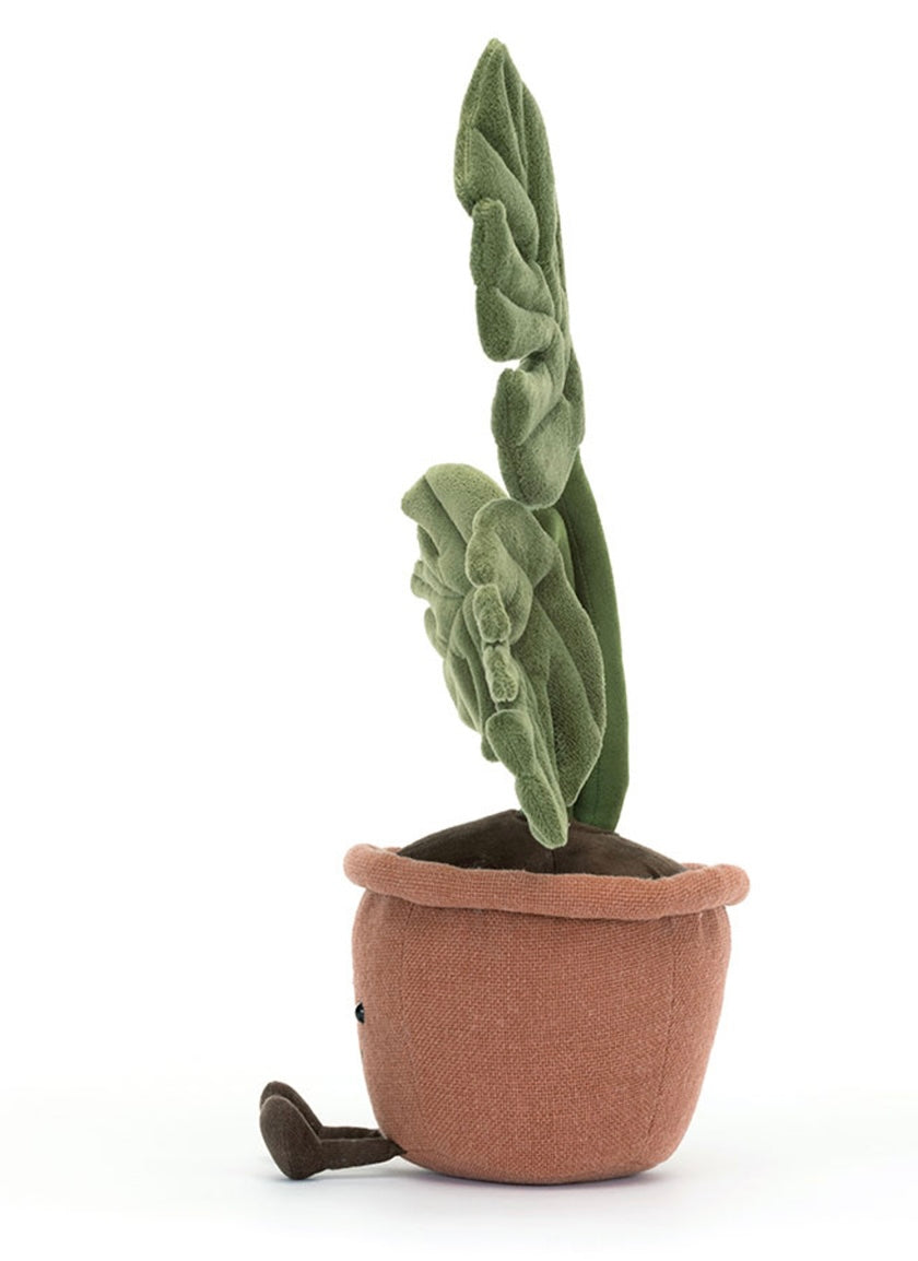 Amuseables Monstera Plant