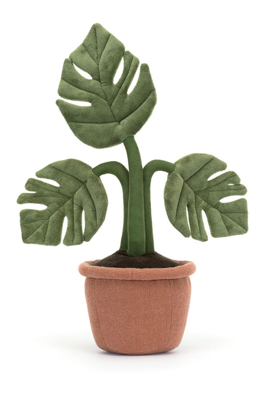 Amuseables Monstera Plant