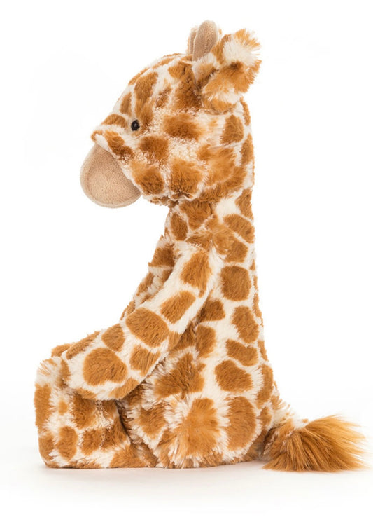 Bashful Giraffe