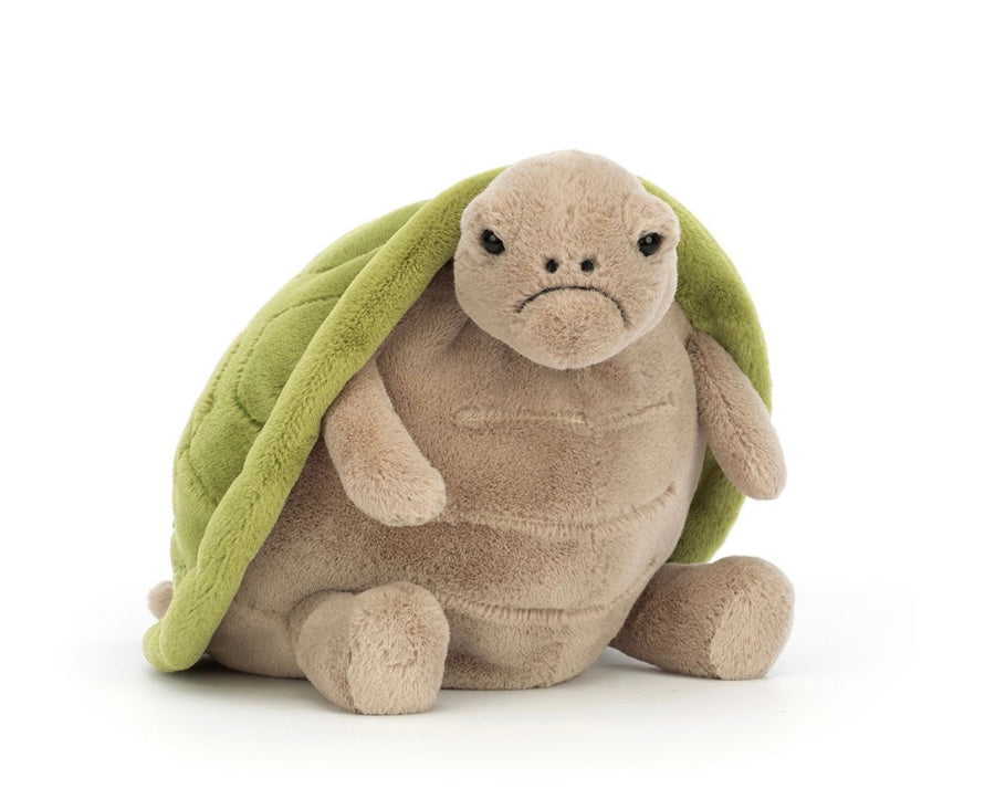 Timmy Turtle