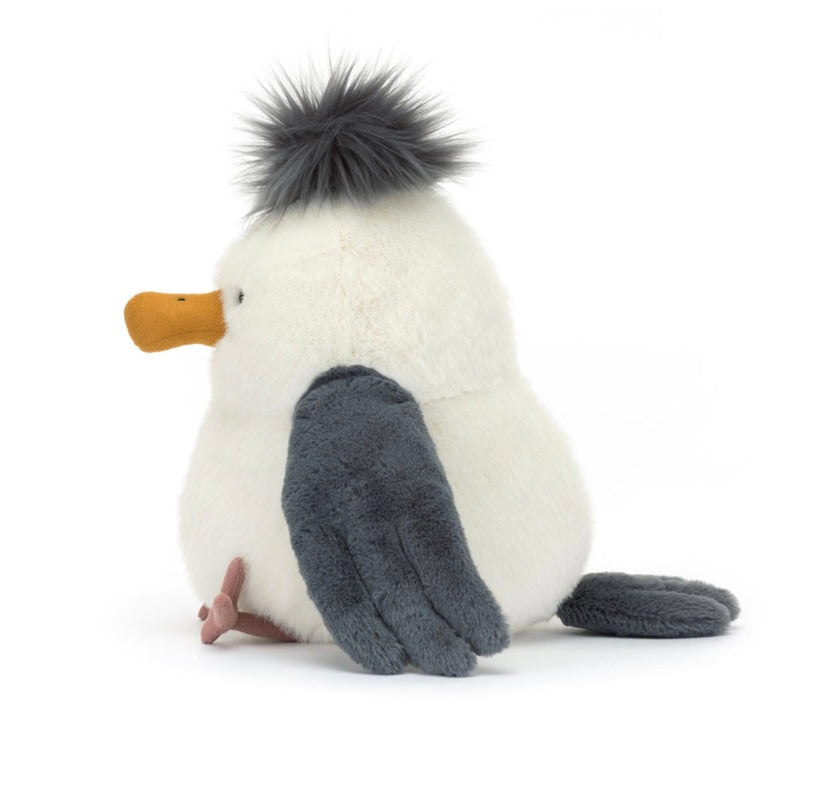 Chip Seagull