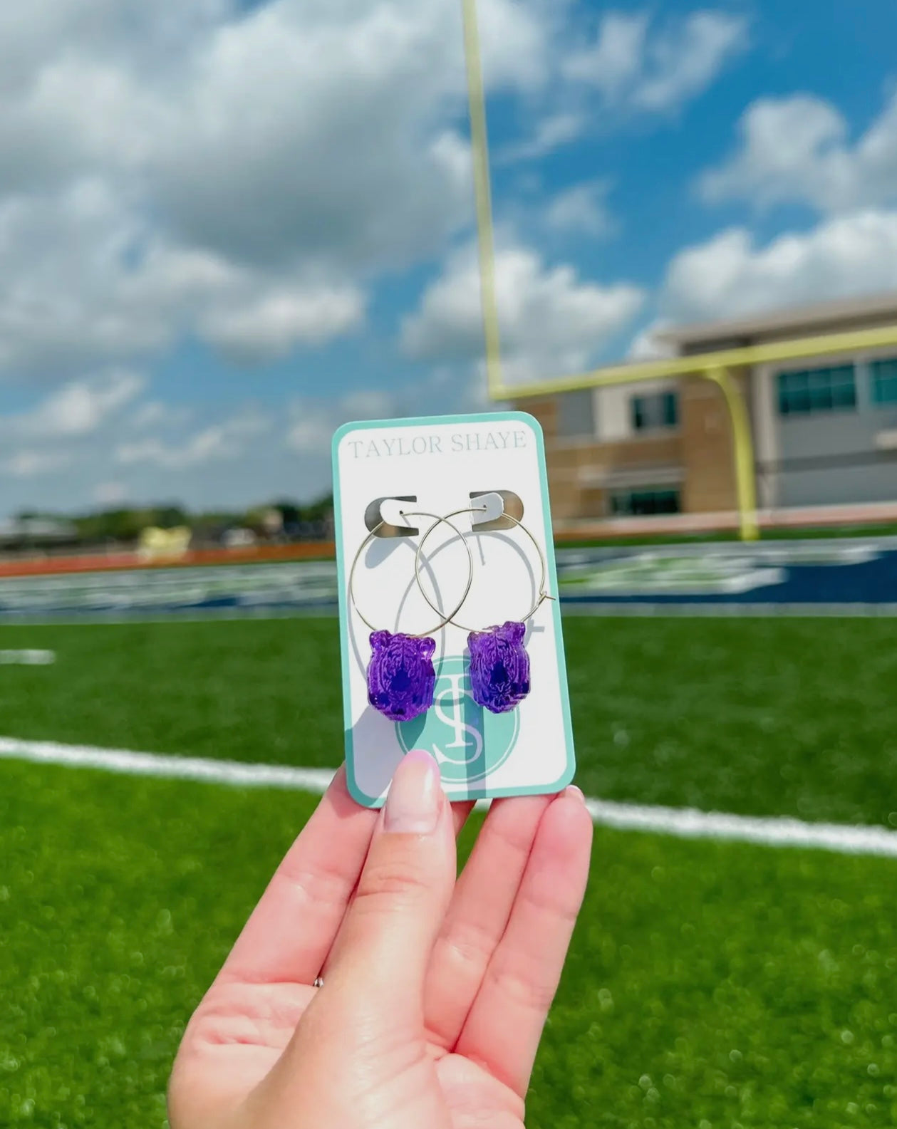 Tiger Head Hoops