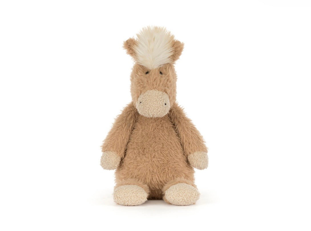 Canterneigh Pony