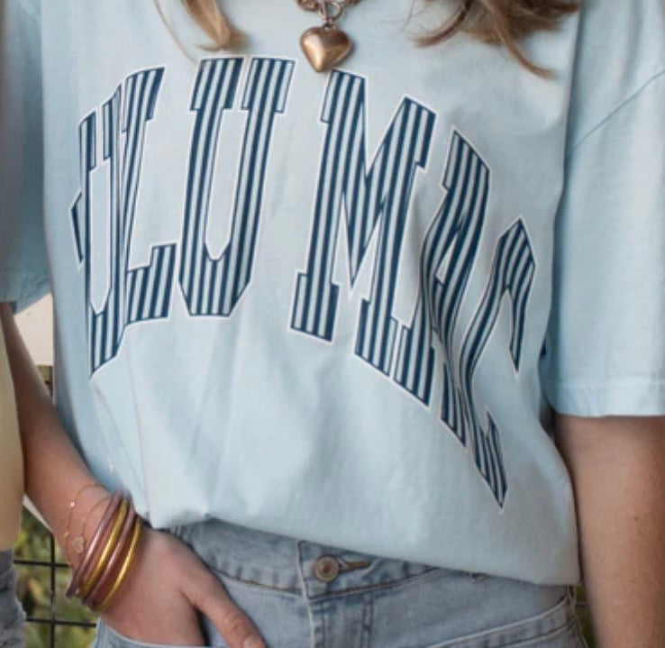 Chambray Lulu Mac Stripe Comfort Color Tee