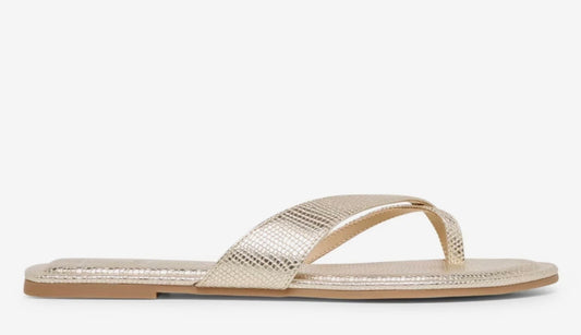 Dolce Vita Lennex Flat Platinum