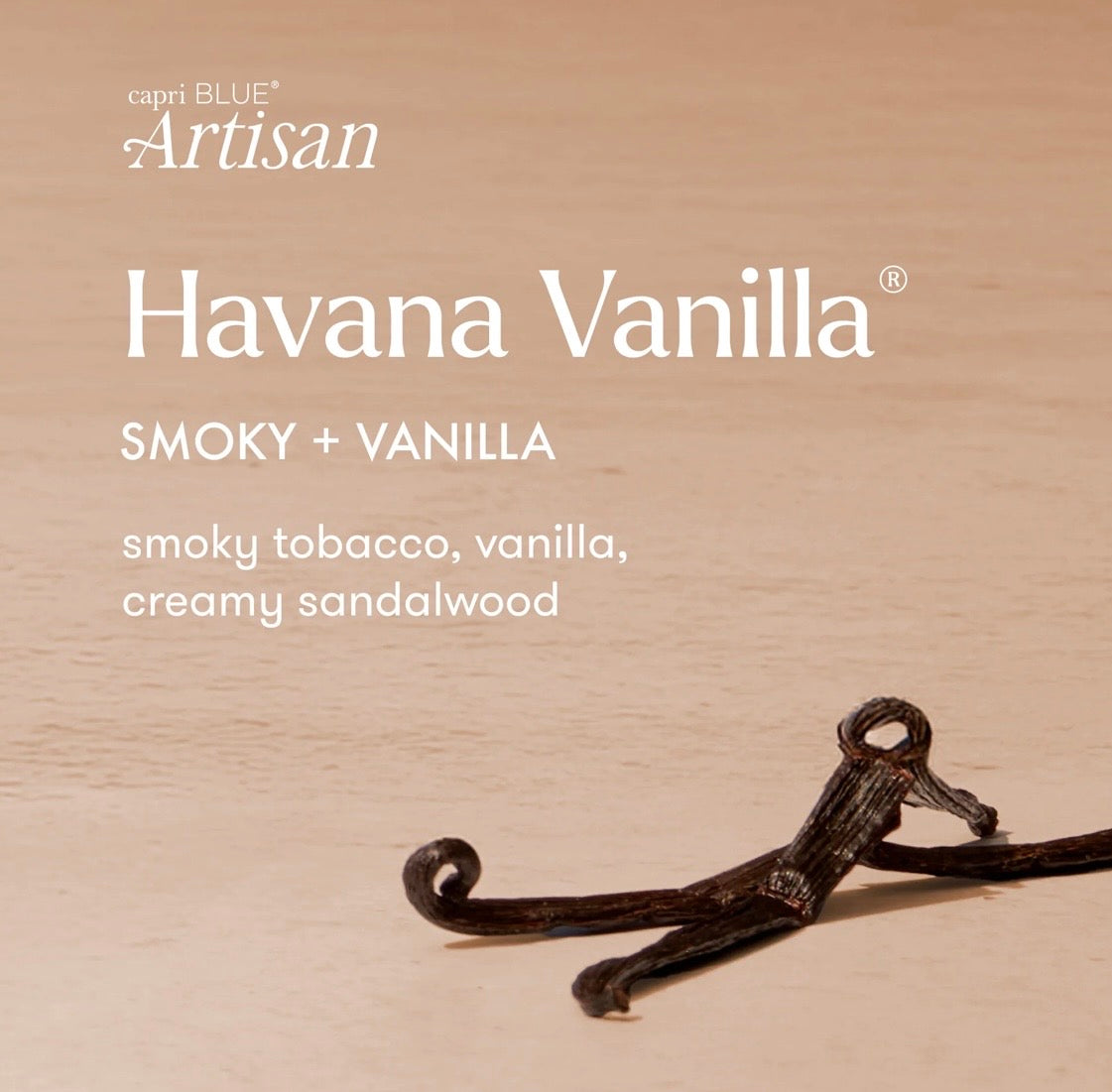 Havana Vanilla Caffè Capri Petite Candle