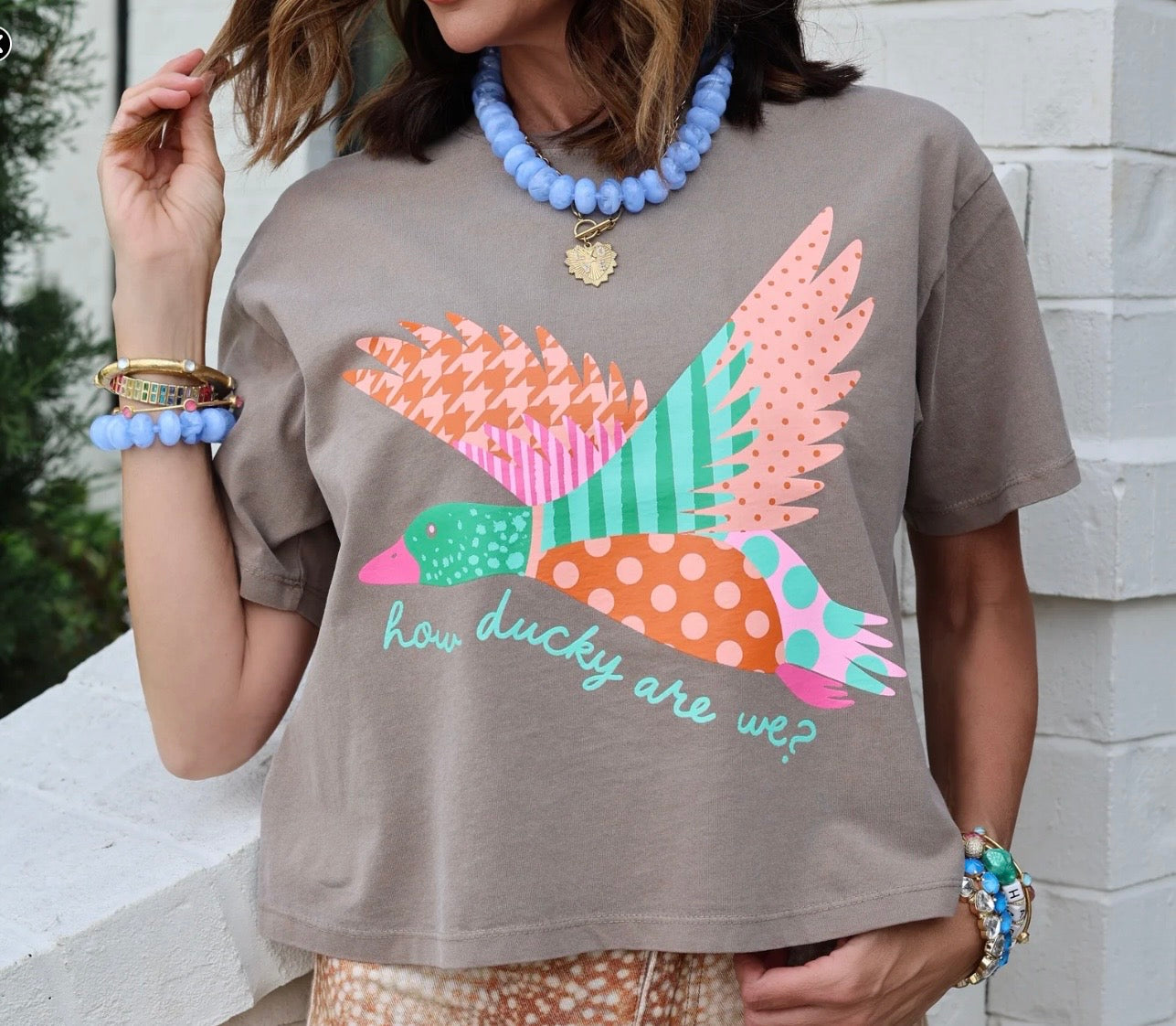 How Ducky Are We Crop Tee
