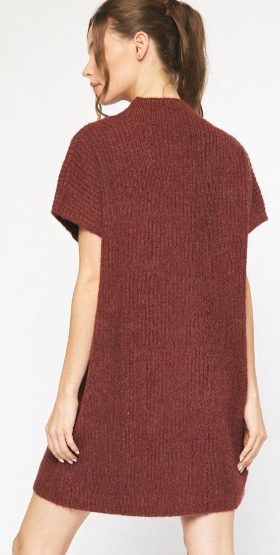 Mercedes Sweater Dress in Cranberry