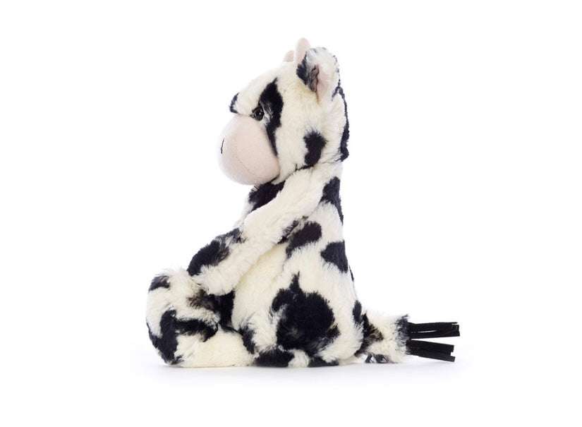Bashful Calf Original