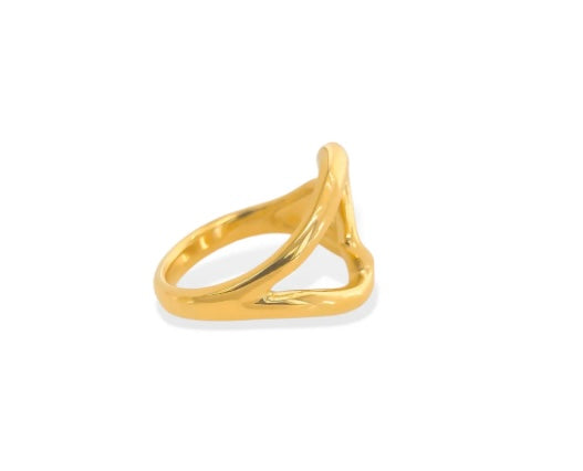 Two Hearts Colide Ring