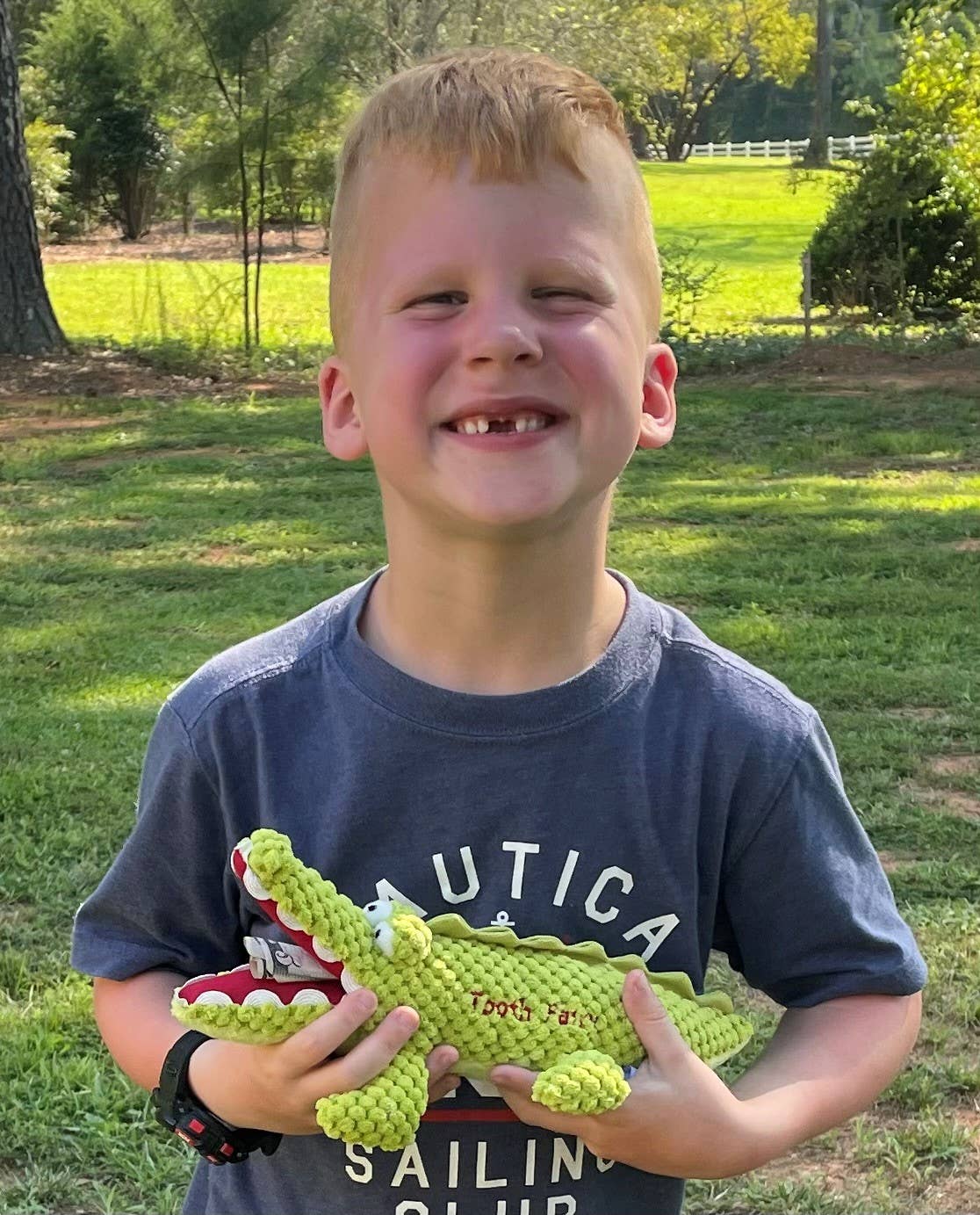 Alex the Alligator Tooth Fairy