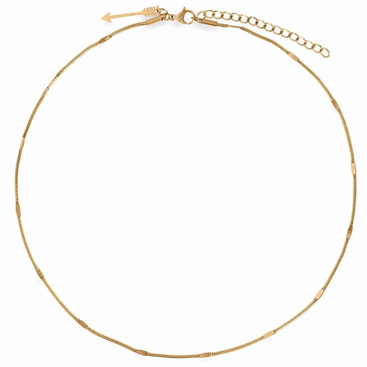 EV-Carolina Round Snake Chain Choker