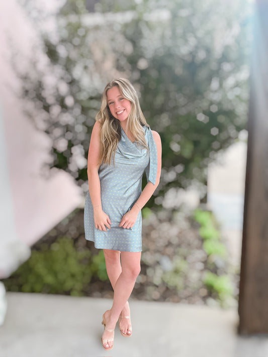Eloise Polka Dot Dress