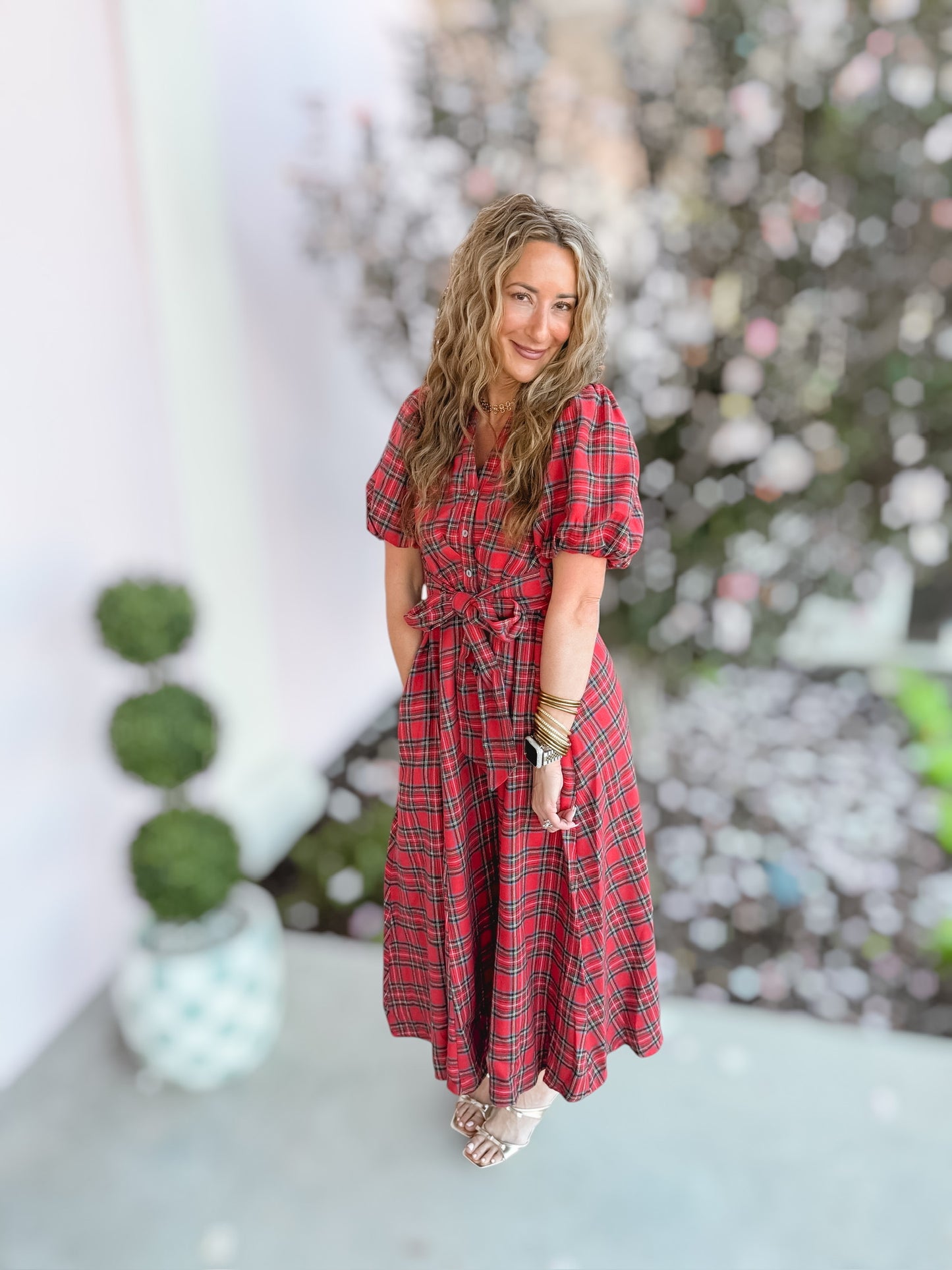 Mrs Claus Christmas Plaid Dress