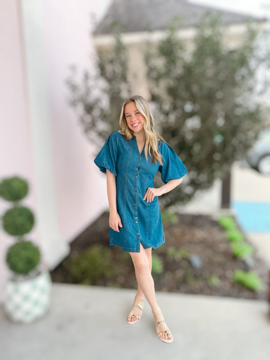 Charlotte Dark Denim Dress