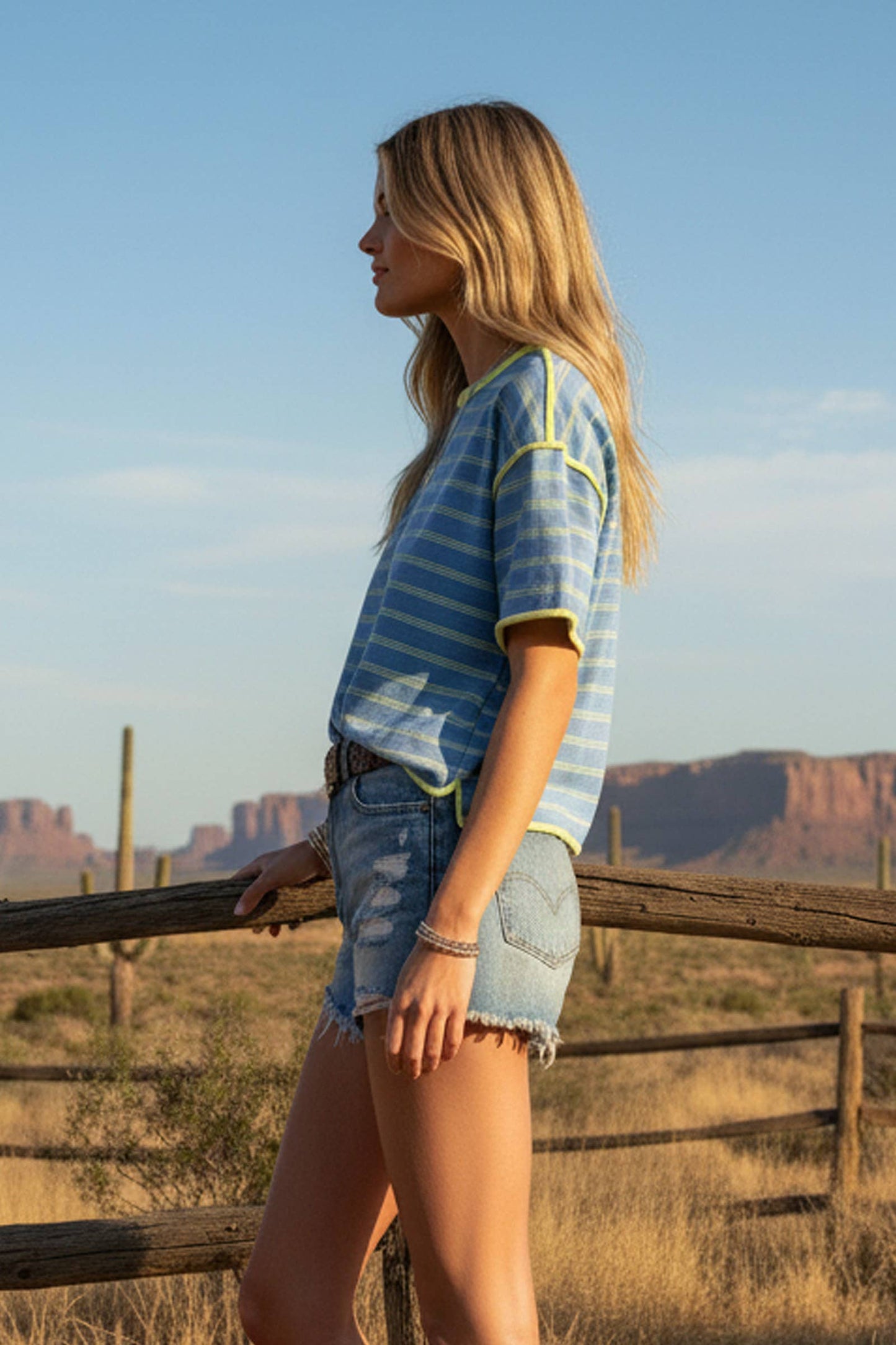 Blueberry Lime Oversized Stripe Top