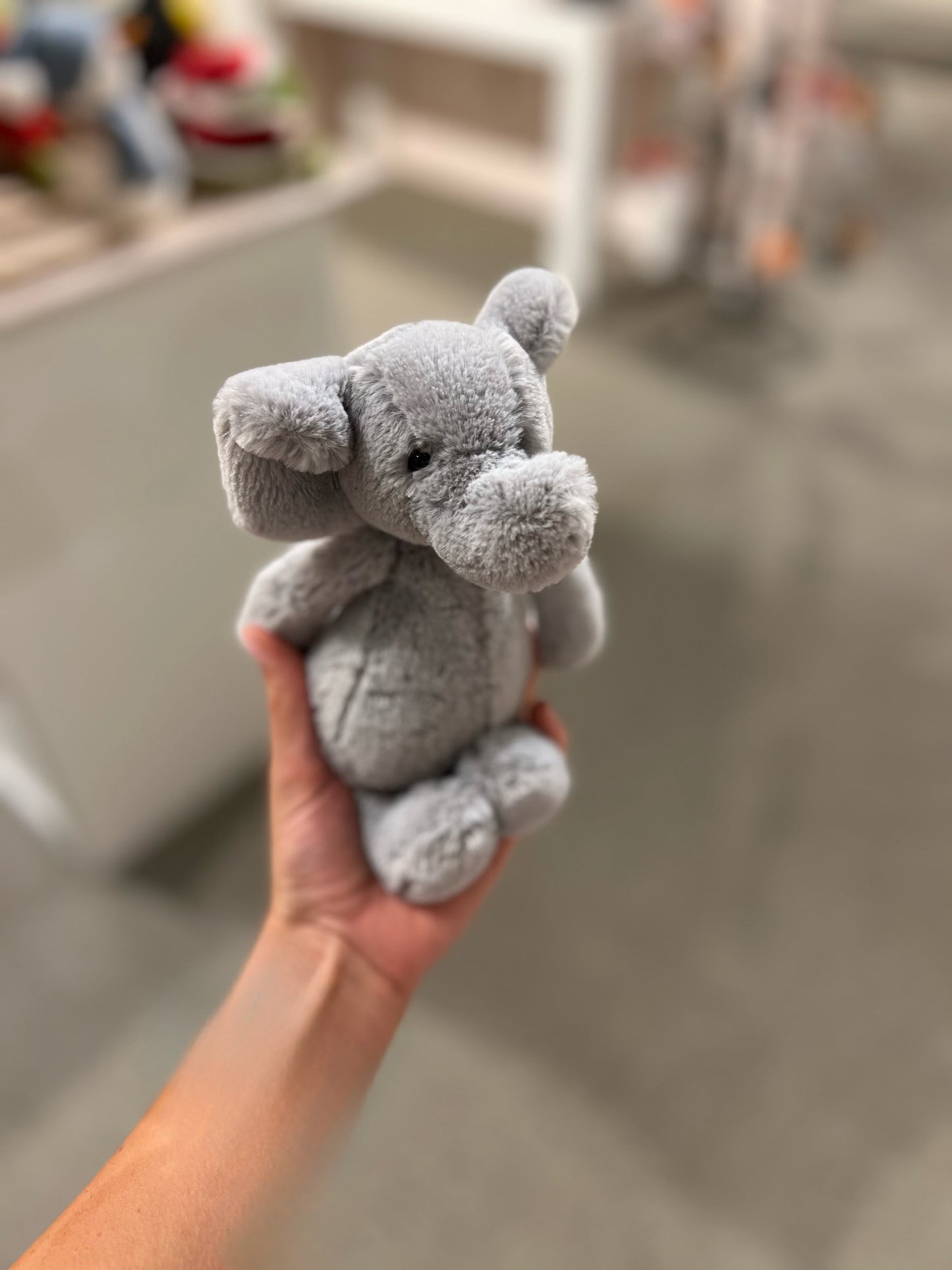 Bashful Grey Elephant