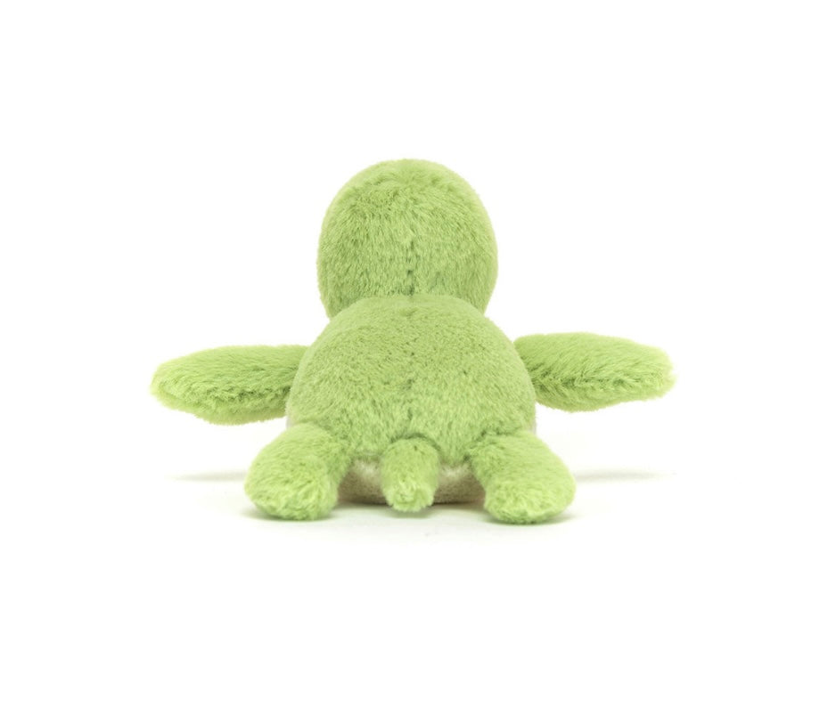 Fluffy Turtle
