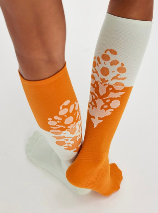 Colorblock Butti Tall Sock Sky