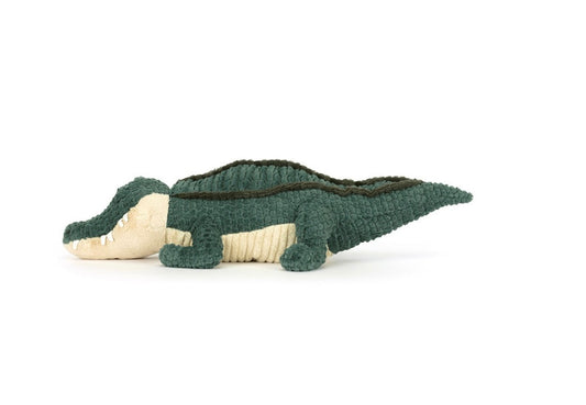 Allexi Alligator