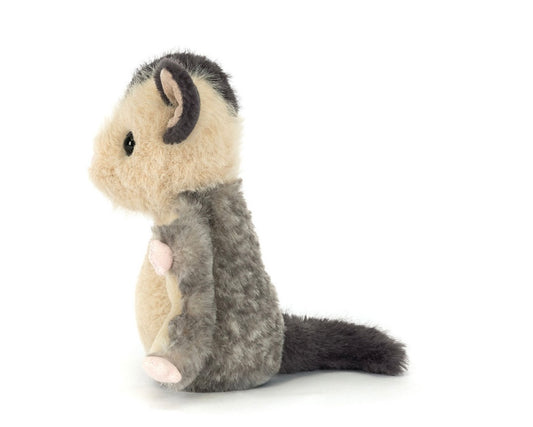 Lolly Sugar Glider