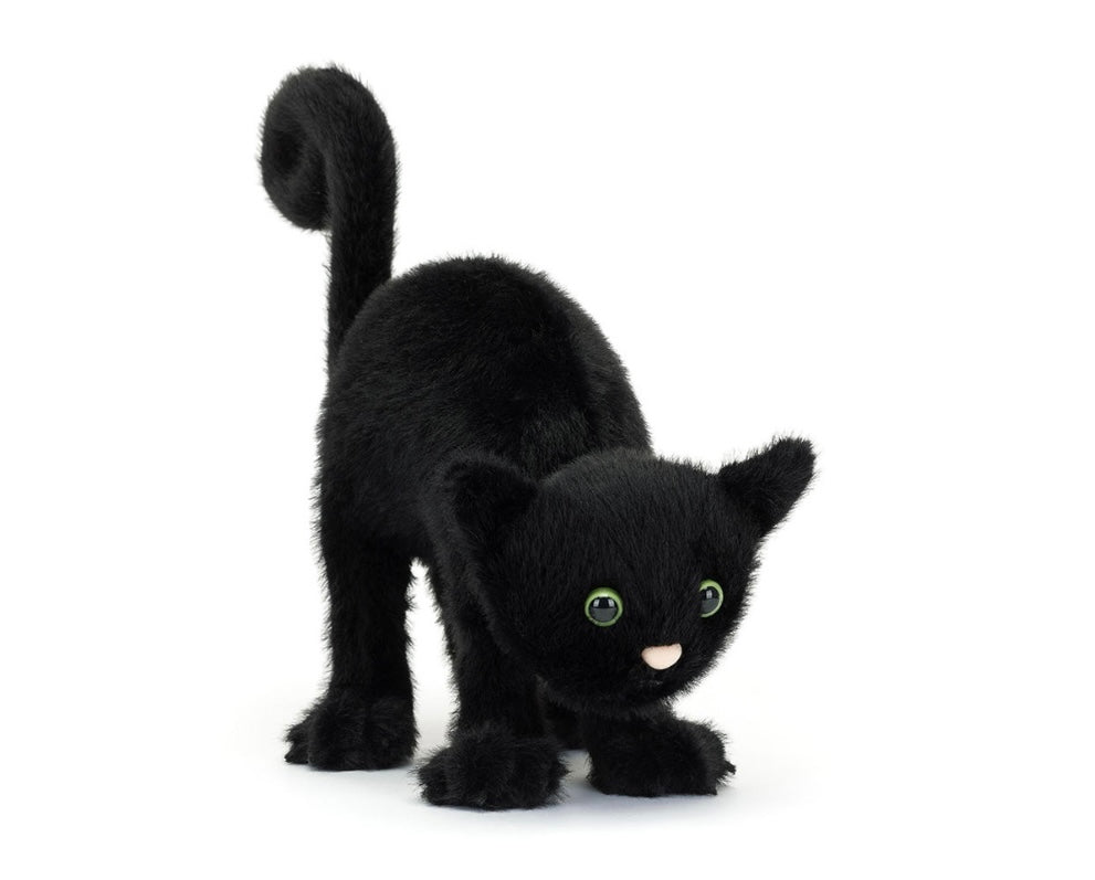 Spookipaws Cat