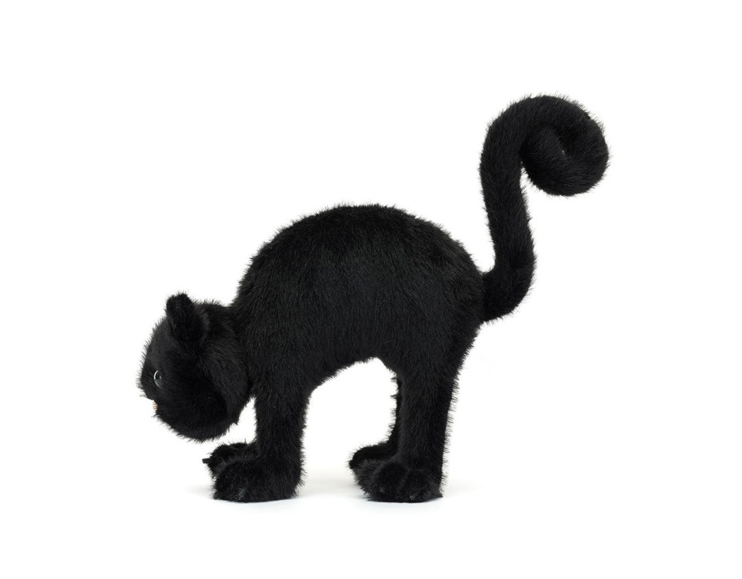 Spookipaws Cat