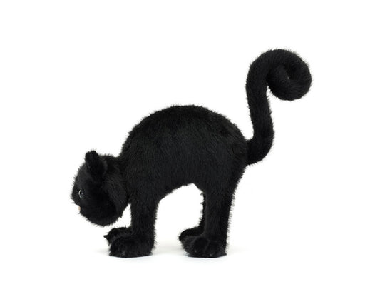 Spookipaws Cat