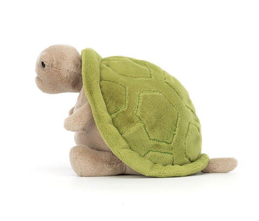 Timmy Turtle