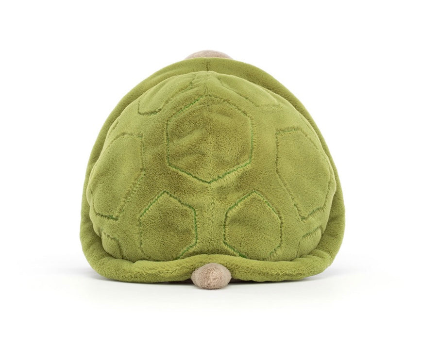 Timmy Turtle