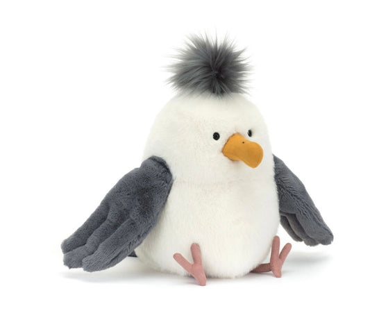 Chip Seagull