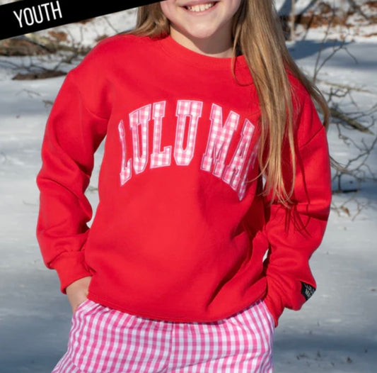 Youth Red With Pink Gingham Sweatshirt