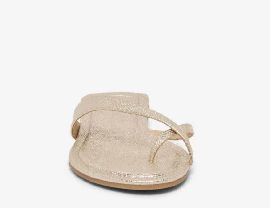 Dolce Vita Lennex Flat Platinum