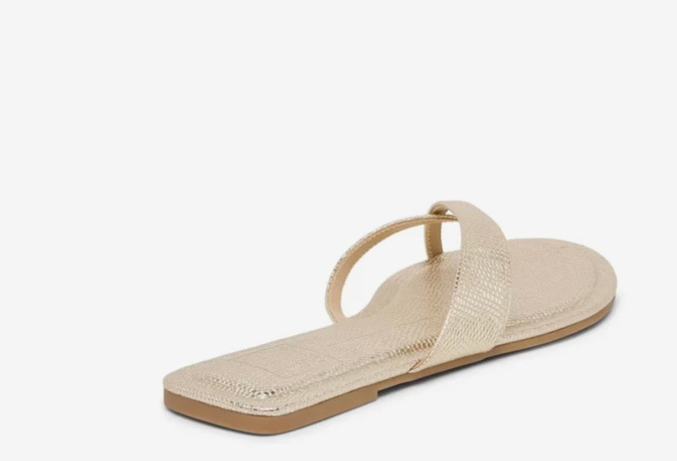 Dolce Vita Lennex Flat Platinum