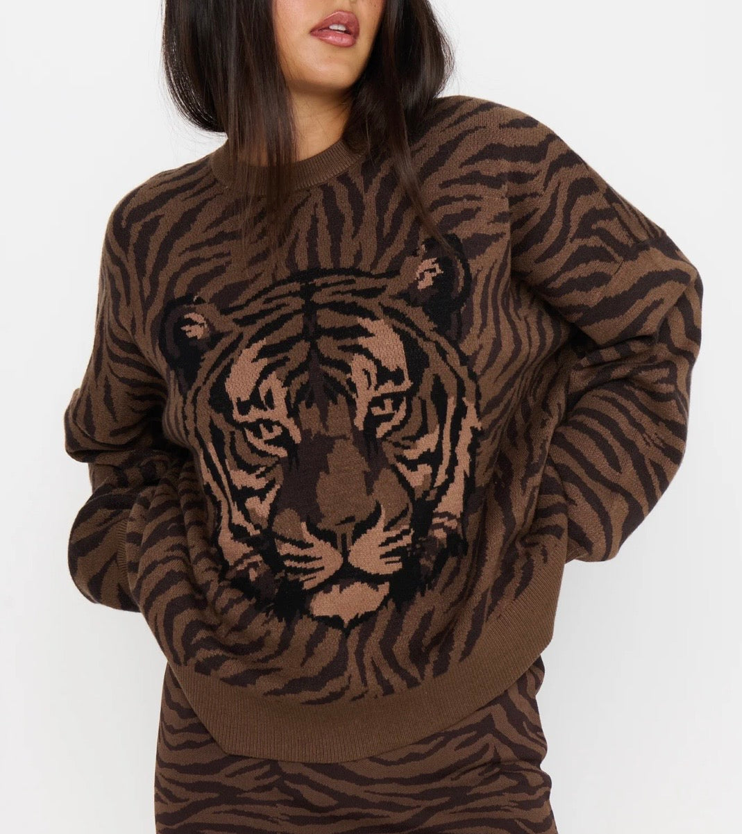 Seasons Sweater Wild Tiger Graphic Knit