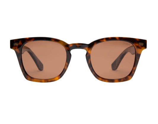 Palmer Tort/Brown Polarized Lens