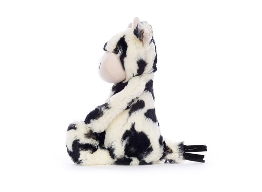 Bashful Calf Original