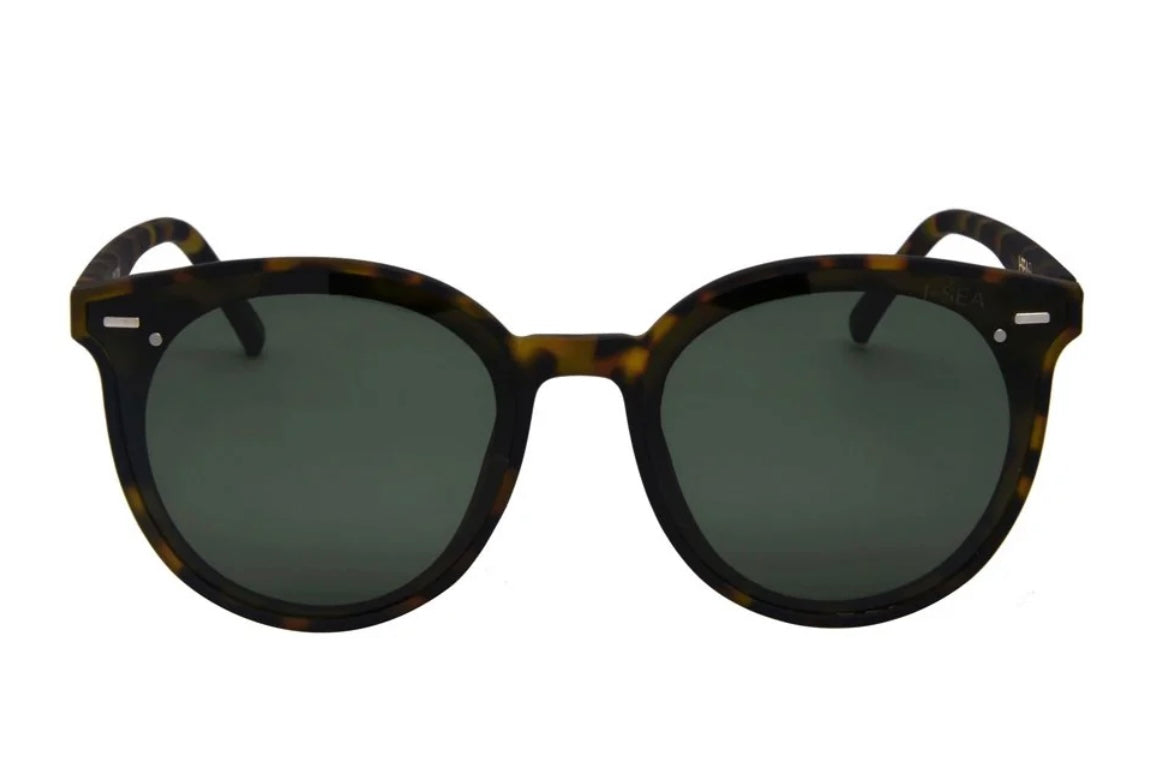 Payton Tort/G15 Polarized Lens