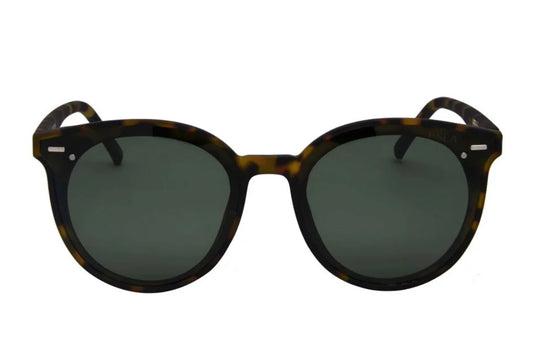 Payton Tort/G15 Polarized Lens
